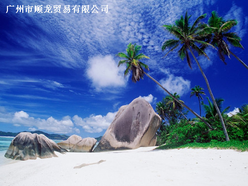 哑面相纸