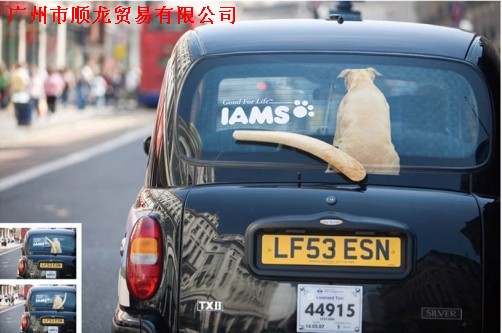 透明车身贴