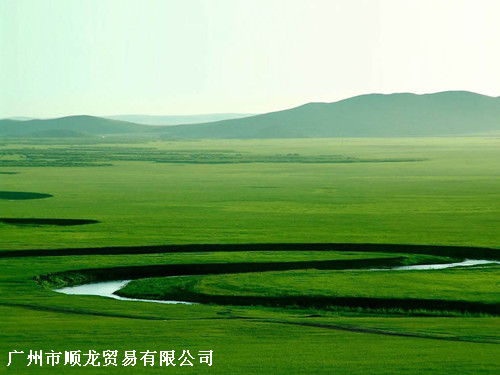 弱溶剂灯片