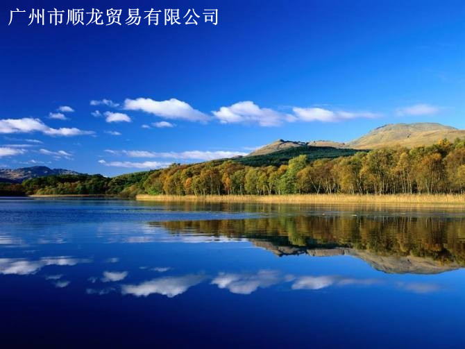 可移除背胶