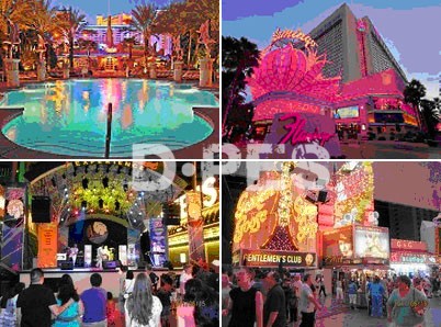 迪培思组团 共赴美国SGIA 2012 迪培思组团 共赴美国SGIA 2012
